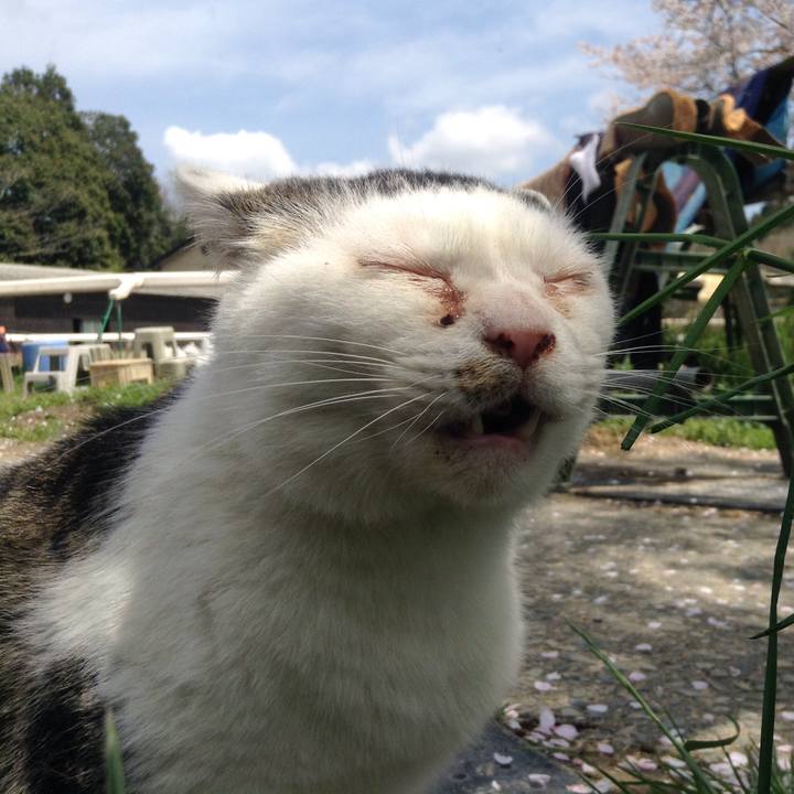 Aed57ca6 c9b7 4c94 a4d1 c456368396d5