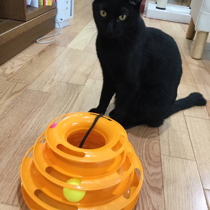 Aed62518 d5df 4623 9247 dd95e4b041e3