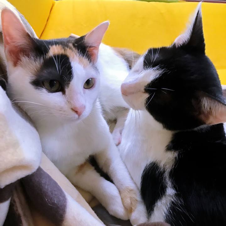 Aed6747a 07a2 4b1f 9864 ea13321f97c2