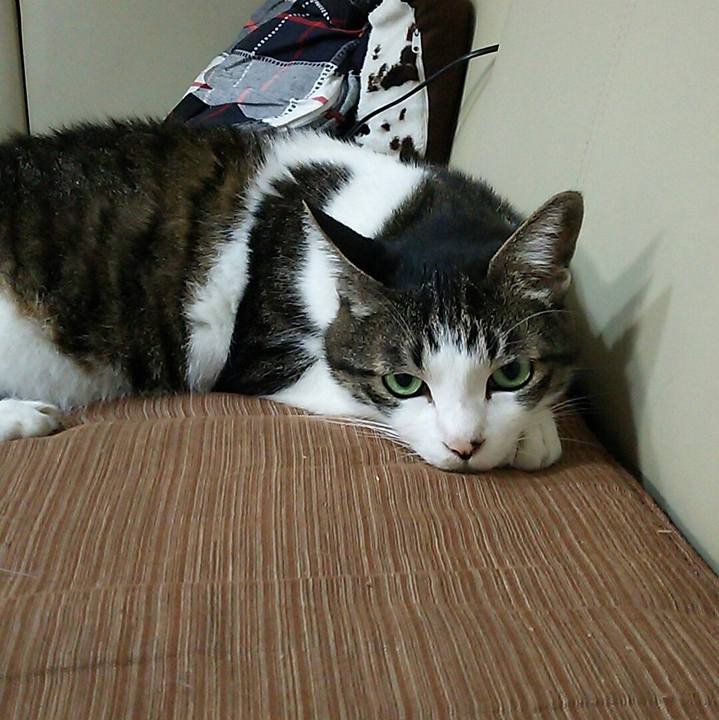 Aed6827e b443 4d97 8f7e 17e2af1efddf