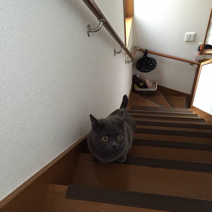 Aed6d6b7 84ac 4bc0 9217 ca57046eae8c