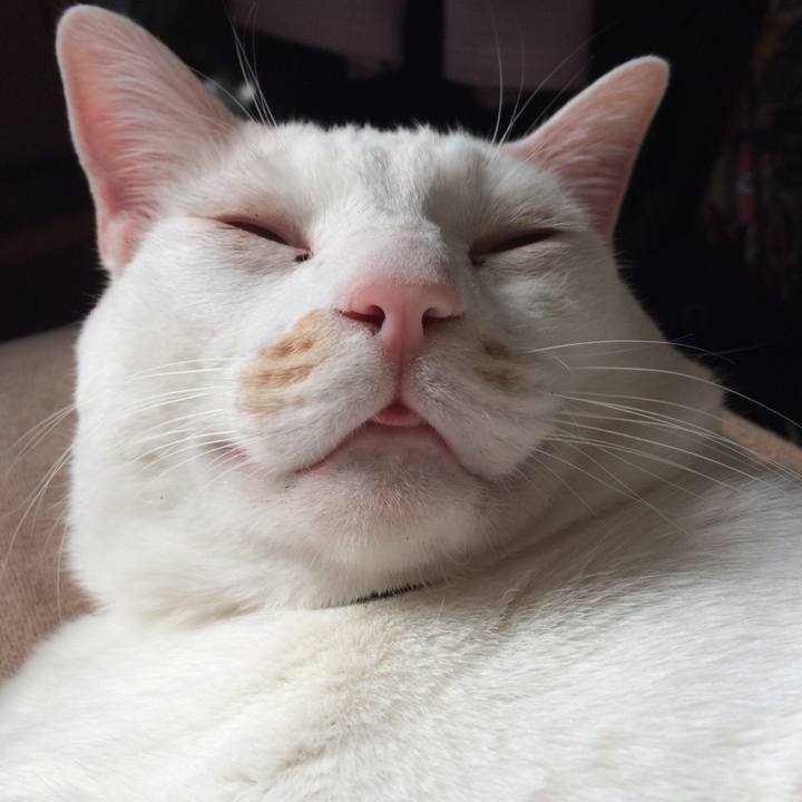 Aed6e54b 766e 4663 9b63 05e50e1ff3fa