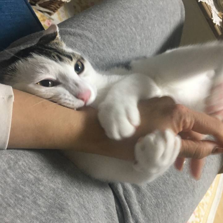 Aed75060 0c30 4d34 88c4 350145dac864