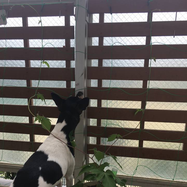 Aed75343 2748 4f55 9fa3 36df2cee72a4