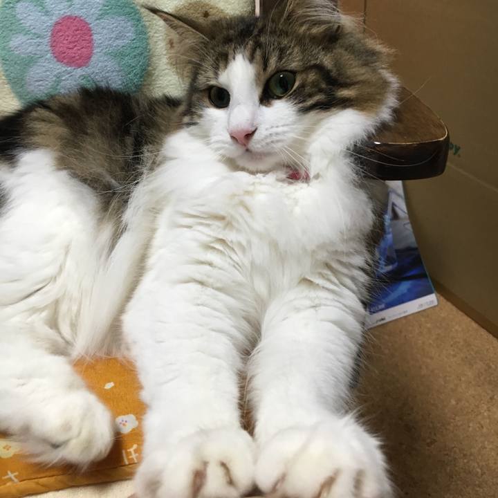 Aed7587c 1863 4552 a63f 01c0f44eedc7