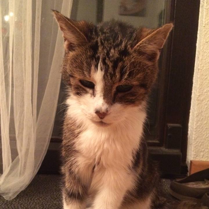 Aed815fa 8007 49f1 bd17 f67f6514a754