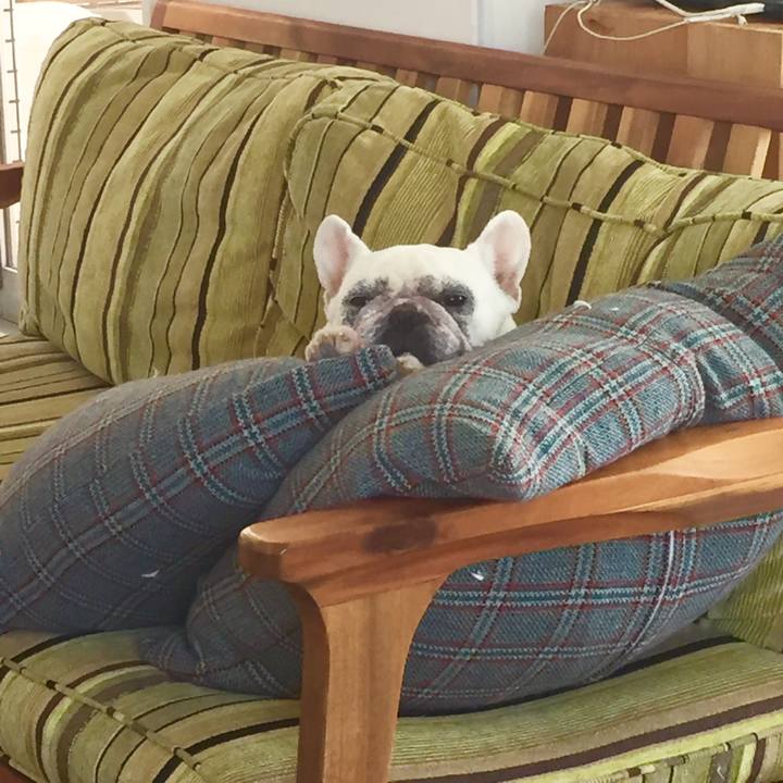 Aed9b5a9 c759 4860 b189 debdd49bcd05