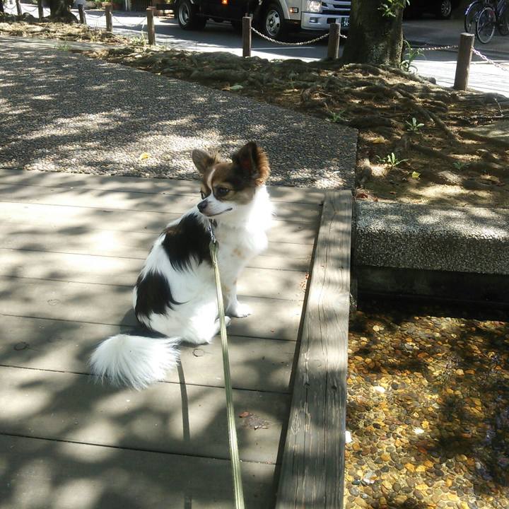 Aeda6227 1c3e 4f0e 8e84 733577f72b53