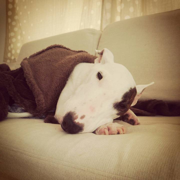 Aeda95c7 290a 40e9 834a 09fb7a194e3b