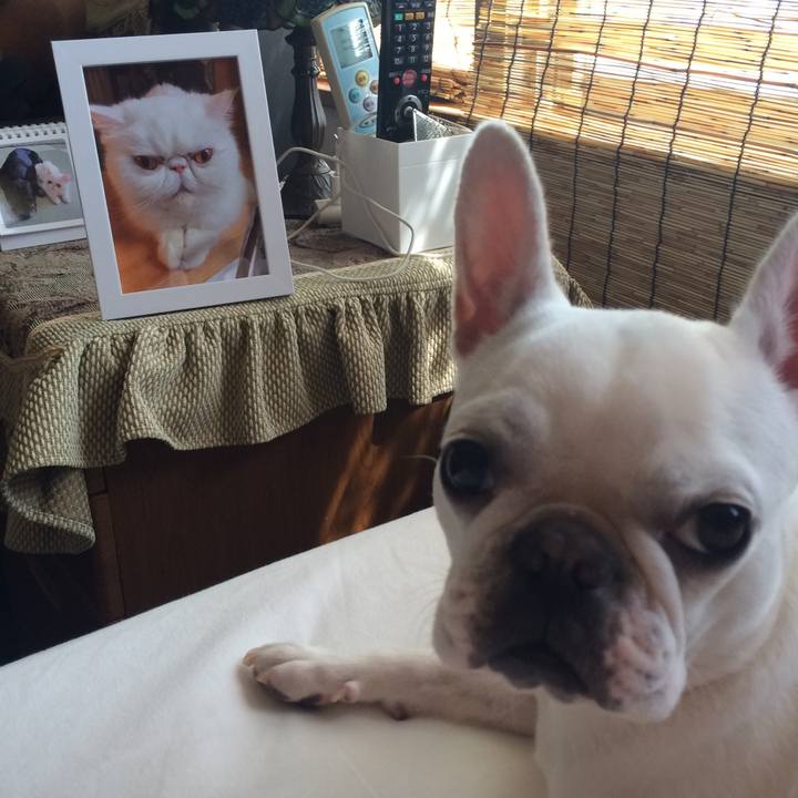 Aedbdfd5 ad7d 4d64 8b34 bf53ac05331e