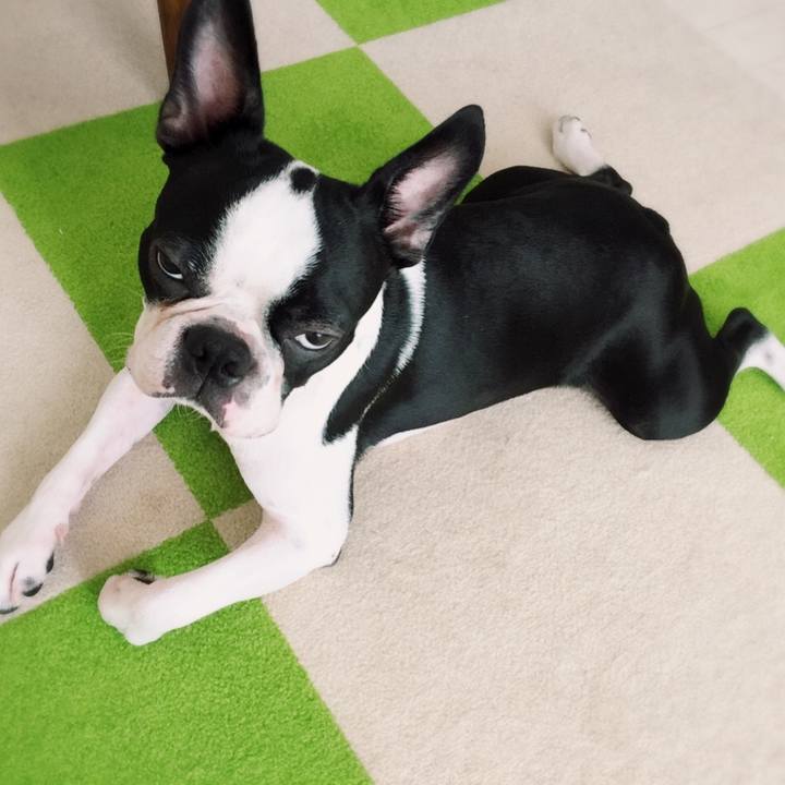 Aedce3dc 9d66 461e 92de 033e30e93242