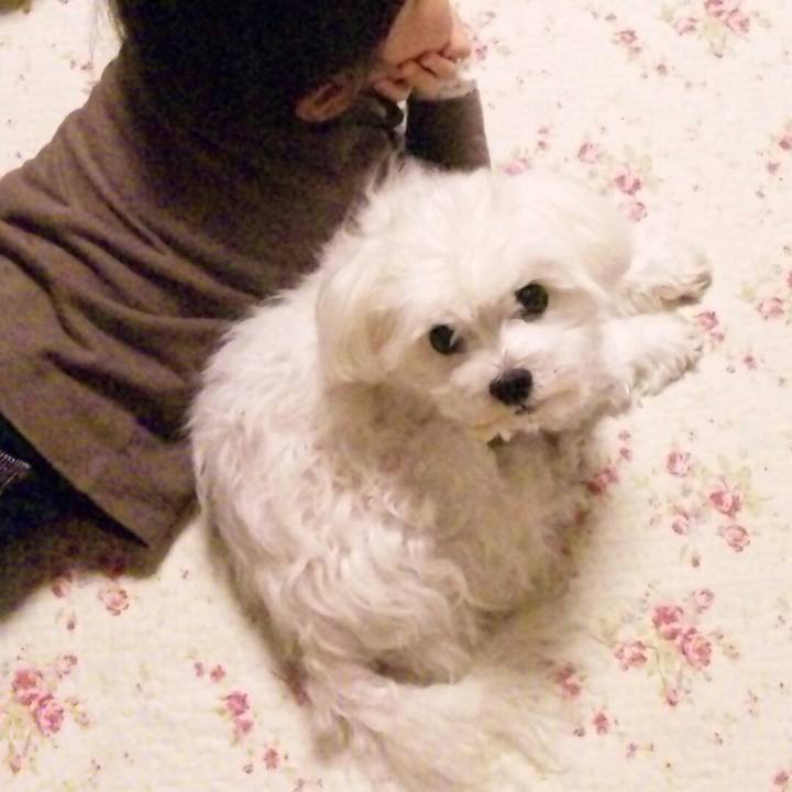 Aedd13e2 d8cd 4fbf 9784 d5287e54e505