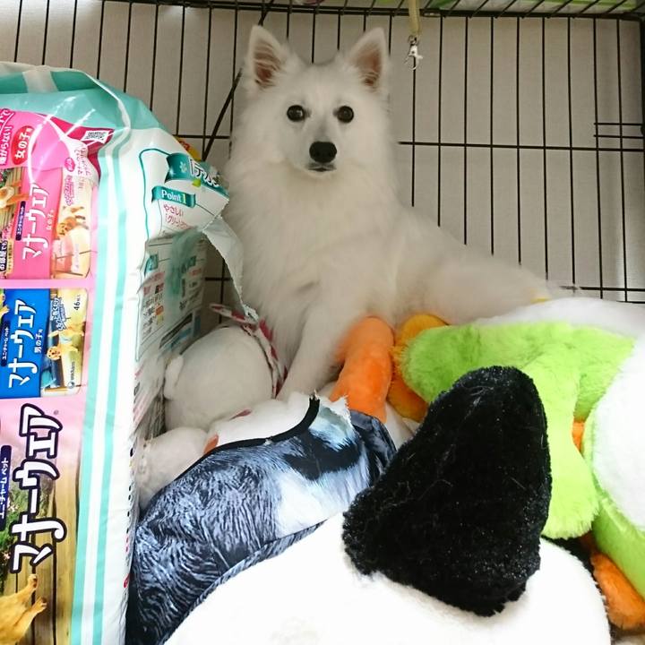 Aedd35ac 919e 4d5f 88c0 192ba9c4c1a0