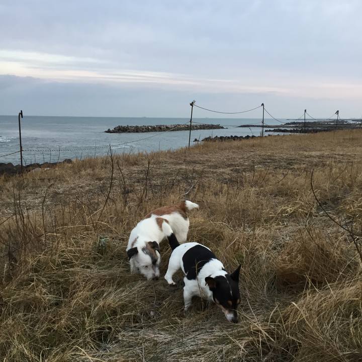 Aedd3ea1 1fbd 41a8 abfa 134a59210d75