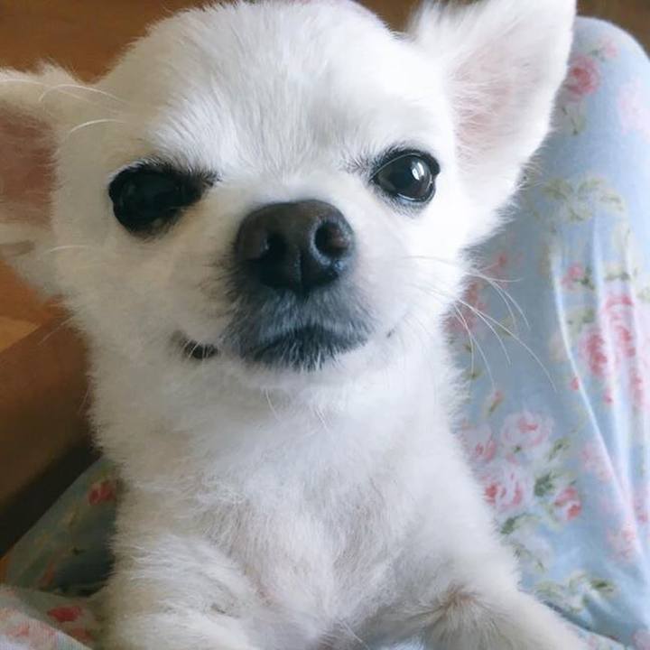 Aede5dc3 b471 4e14 bf49 256b77930e1c