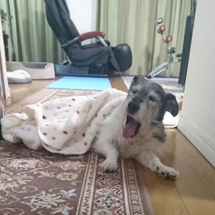 Aede6f61 bcf9 4f02 a293 a5490cd912a9