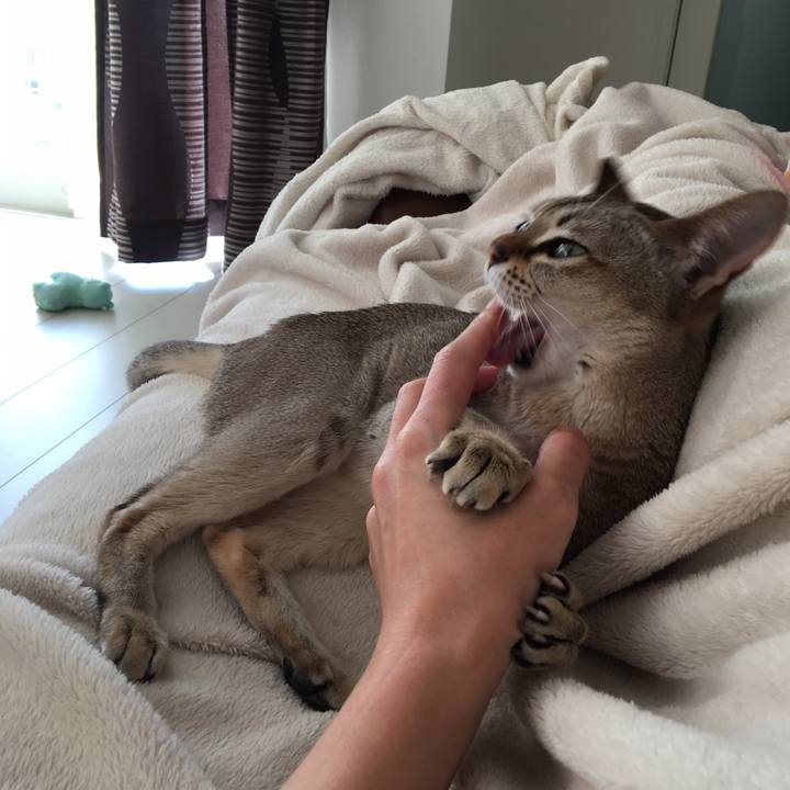 Aede9c0e 55ac 4337 ad7e 4431eaf52dd0