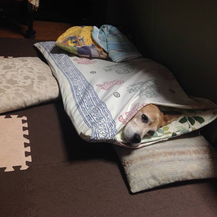 Aedf6c8a 0a39 4472 aed1 e41882bdc1d8