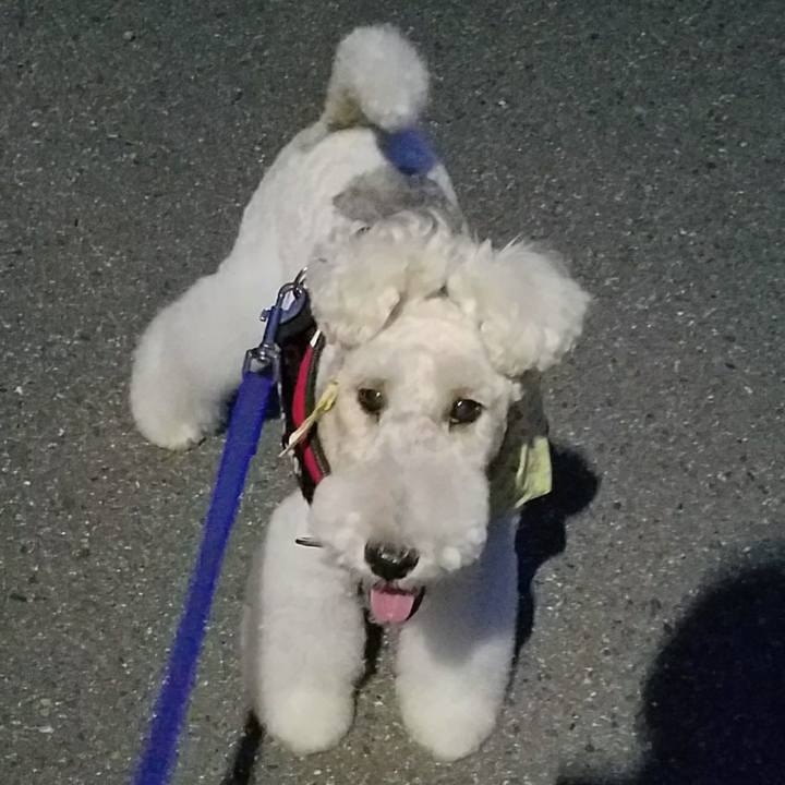 Aedf8099 d8a9 4003 a9c2 576492632725