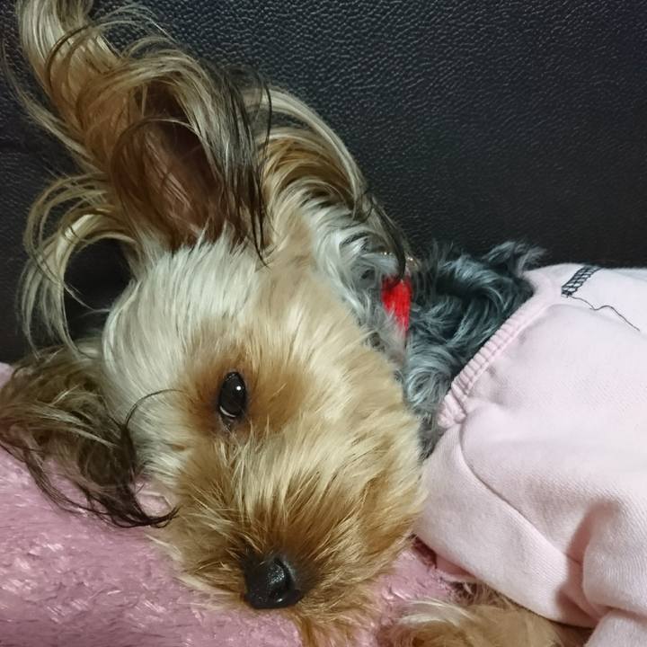 Aee010a9 79b7 4ece 8f8d 98eb432fb0e7