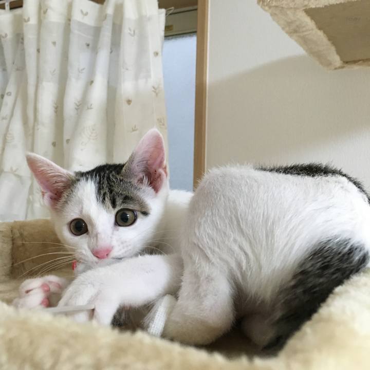 Aee0809b 80ce 4215 9714 02ee0b148f95