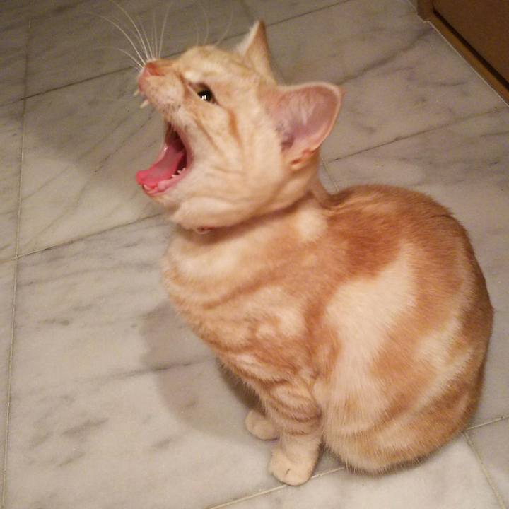 Aee0fe29 f6a6 4480 b5a4 8d40b09cf8d8