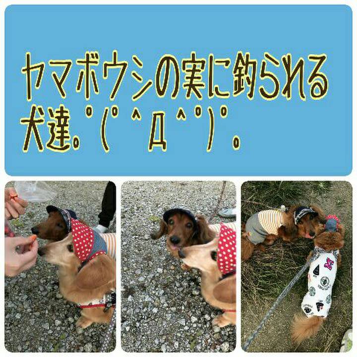 Aee1a8a3 0140 4db8 98b5 2e3011fc4cd5