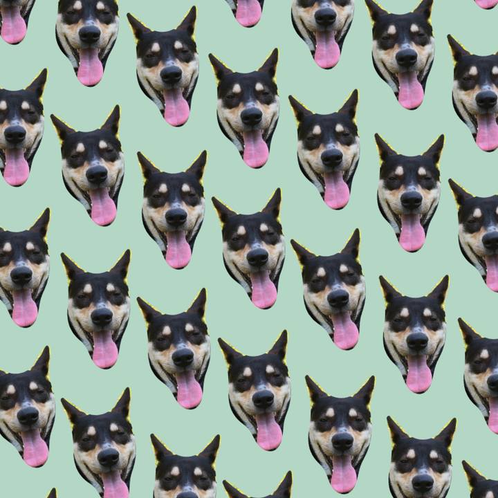 Aee1f7af 455e 4066 8251 e752575775c0