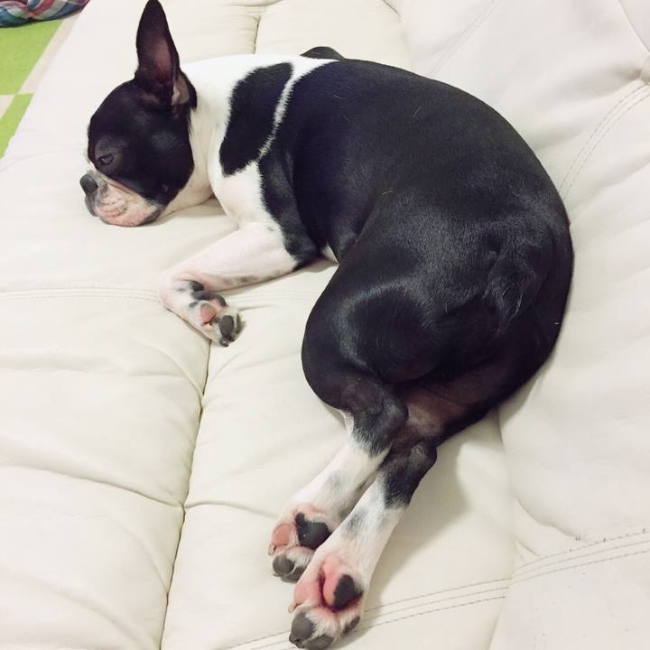 Aee22d11 eed8 40ea af25 ebae48f73504