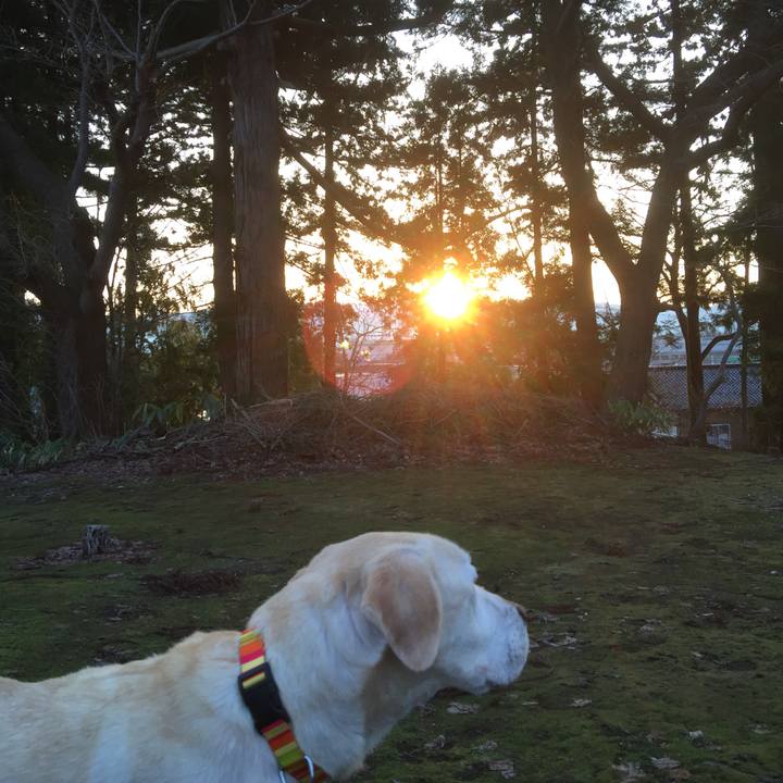 Aee4671e 6c74 486e b83a 4524a9905298