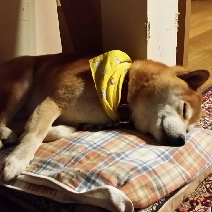 Aee47642 d1a9 4b0d 853d c25ffbdd09a9