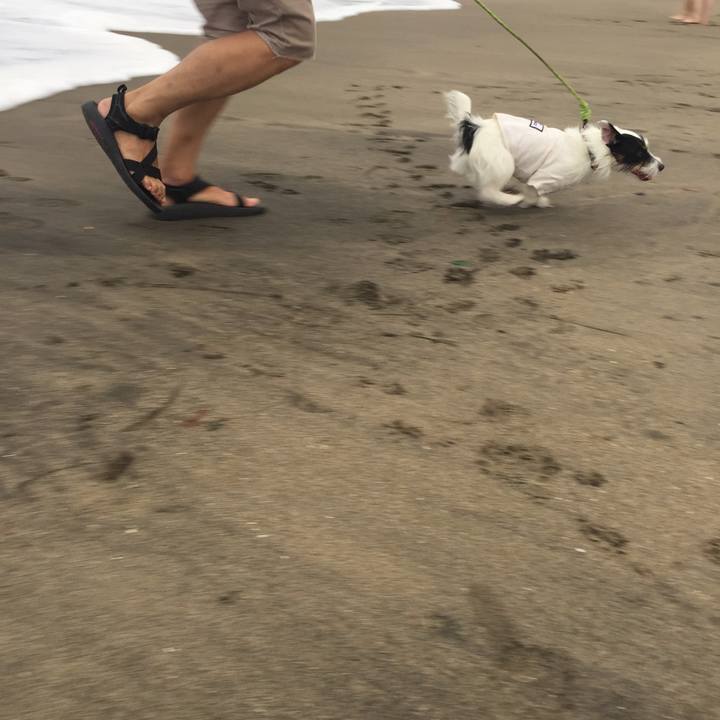 Aee5167f d0b3 45ad b601 da4ed5faeb92