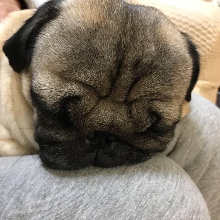 Aee53f4d cfc7 4a4b b04a 413cb65531b6