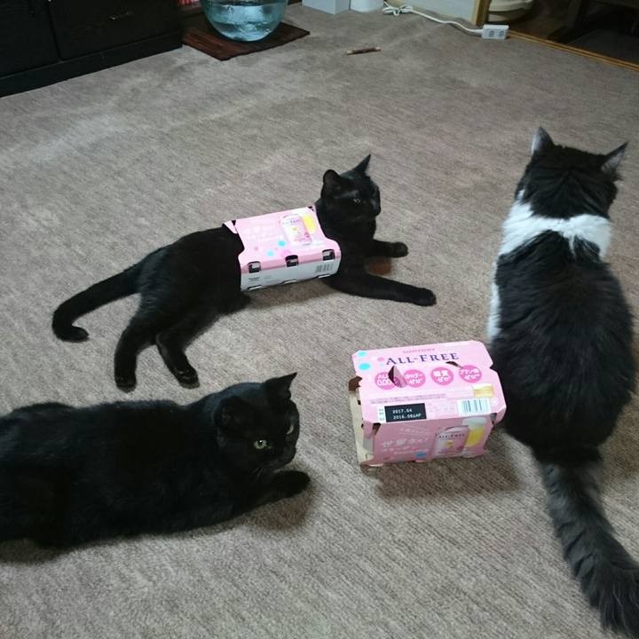 Aee57cf5 28c4 4c43 a7a5 07452b9795ff