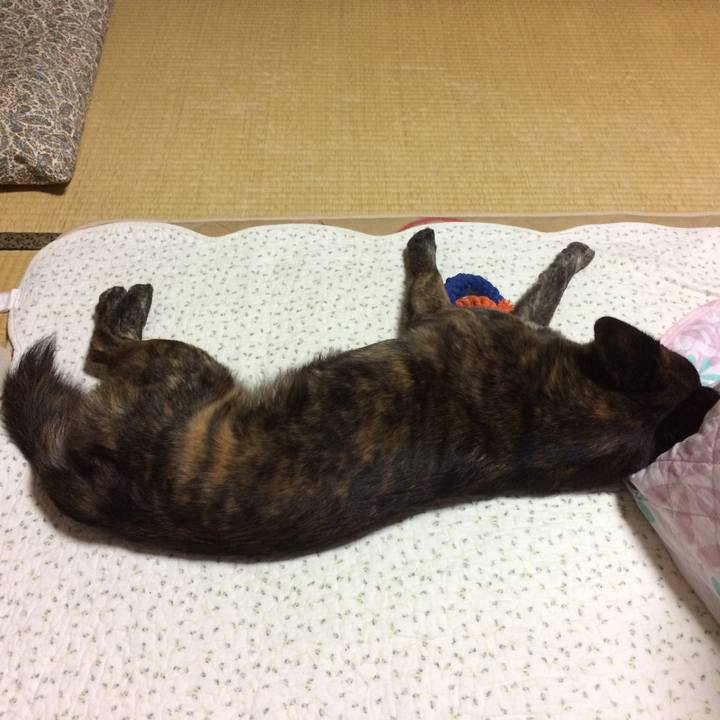 Aee6573f 5cf2 4f1c b947 c26ce79918d4