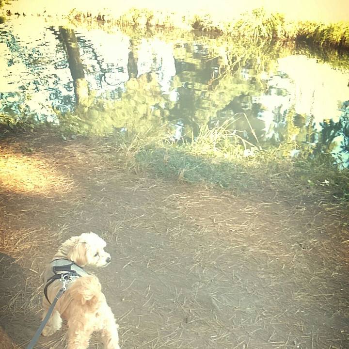 Aee68359 9024 4420 810b 10ae1becfe7e