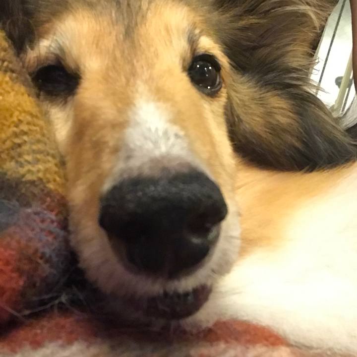 Aee6d09f 8809 4772 a847 076e71e0c46e