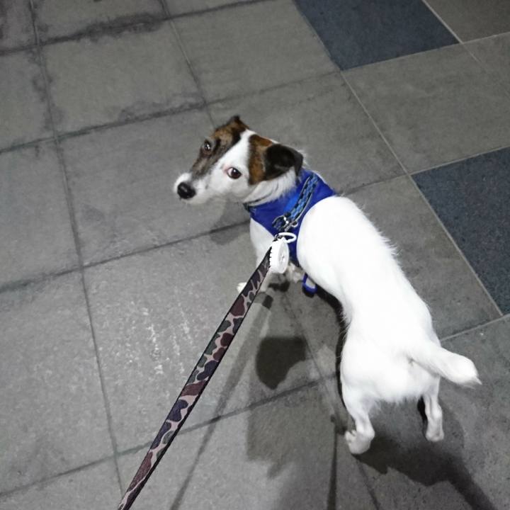 Aee735eb 75b1 44d2 b006 085c1a5f8063