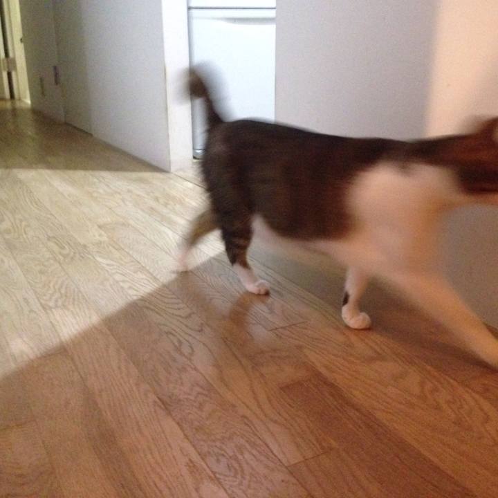 Aee73fdc 9a33 42b3 8a11 5738568268b0