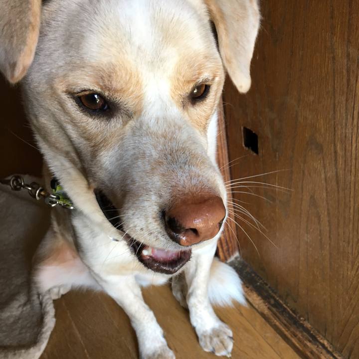 Aee905cf 4686 4417 9462 8101568ecb87