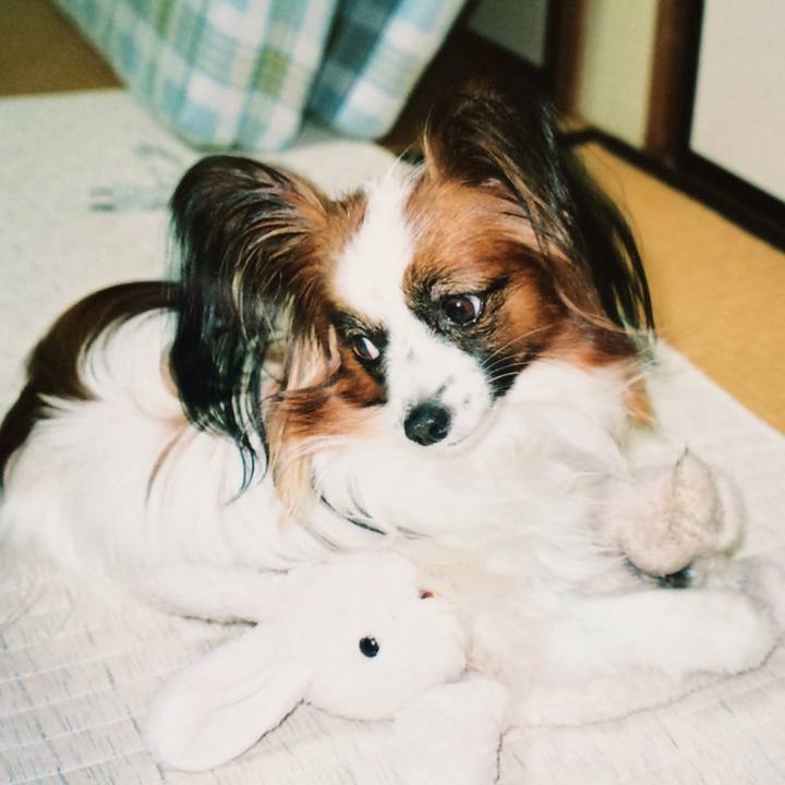 Aee91e0b ed7b 4763 bfc9 7d22575f9fd3