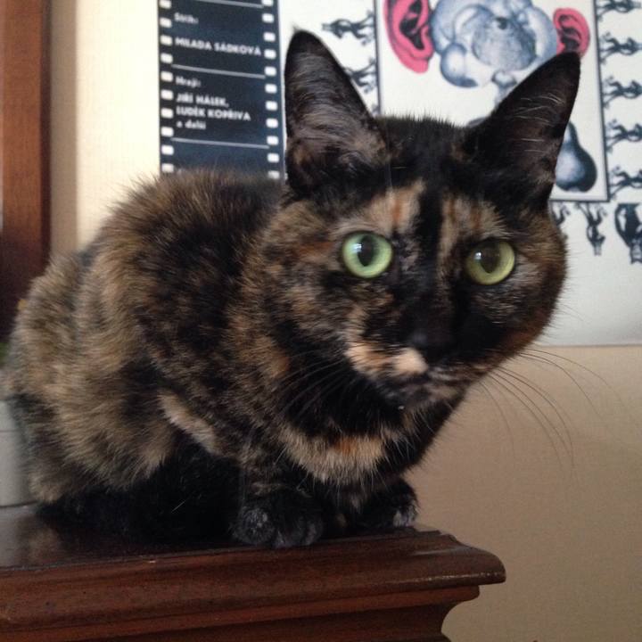 Aee9f395 ee32 424d b294 a2f609e35f3a