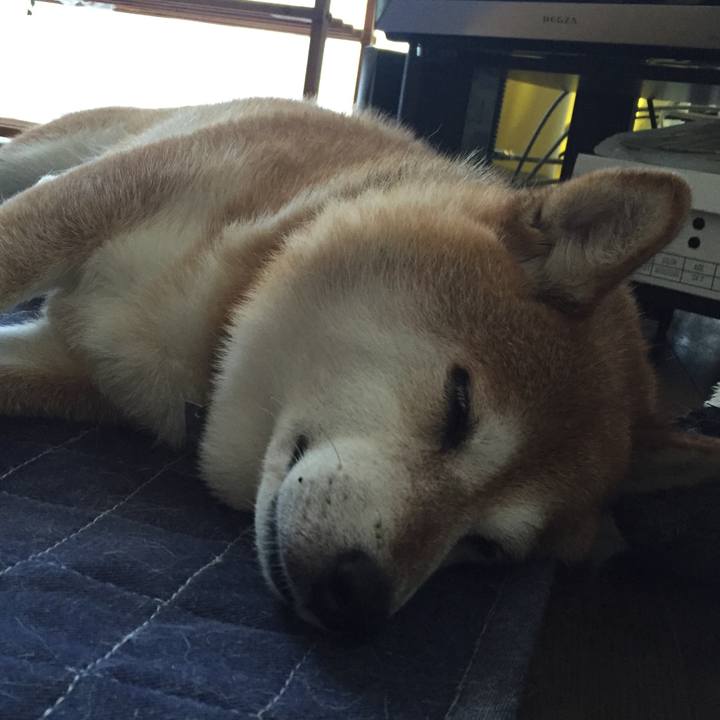 Aee9f8ae a044 4b1d b6ae 41ae64bea6e6