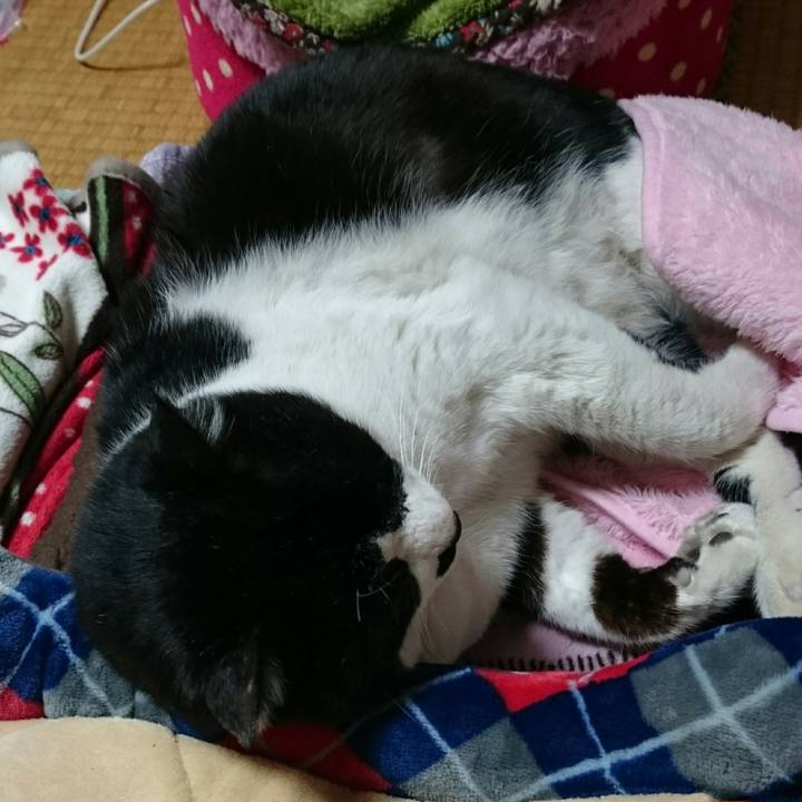 Aeea4e8e 60a0 404c a39d fbf18fd2c203