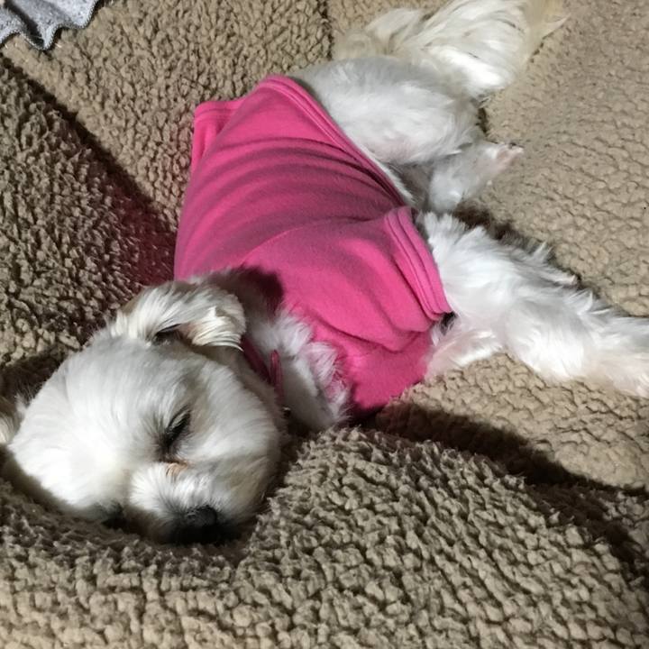 Aeea74f3 523e 47b8 a1c4 14dc4367202a