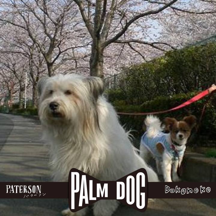 Aeeaabf4 0c22 4187 b325 4a9c42a55189