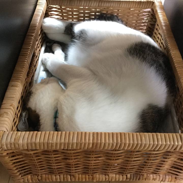 Aeeab268 b395 43e8 a4ce 36eb5f545395