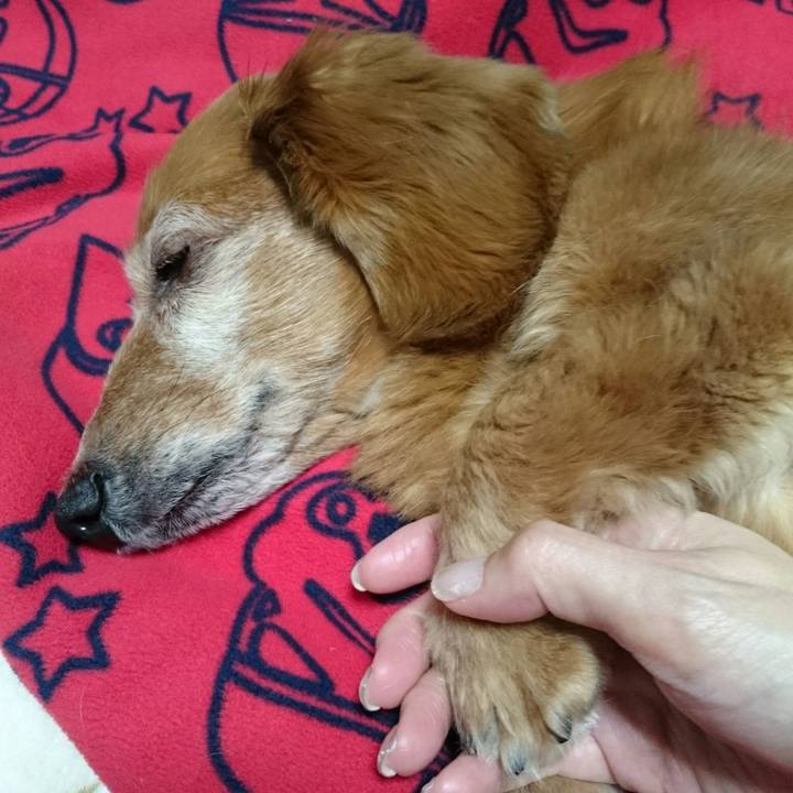 Aeeafdd6 0341 4db3 81de b67f13daa93c