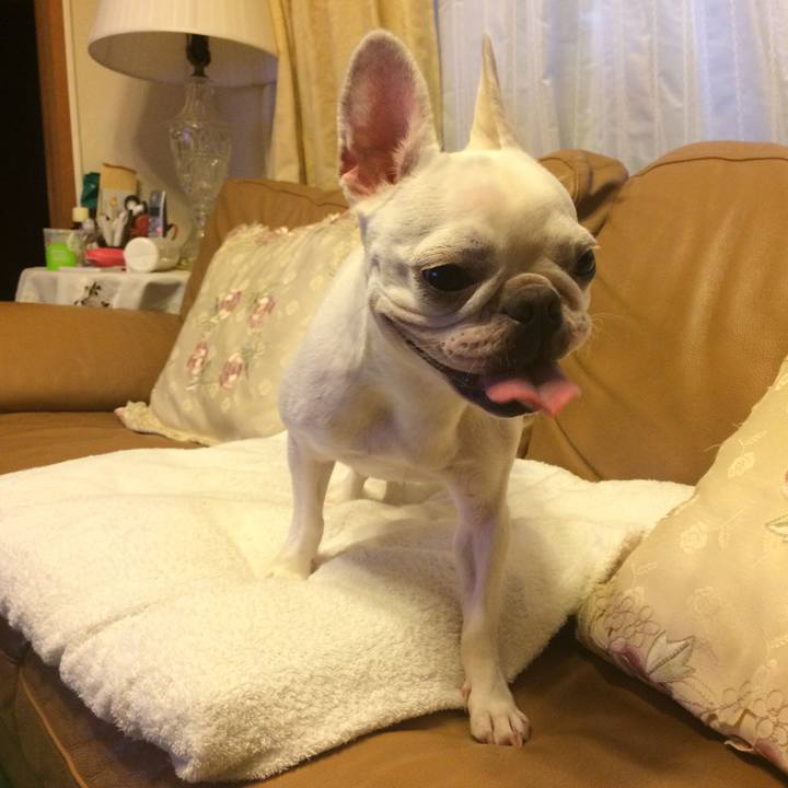 Aeebb860 36b1 4f17 847c bf81aecf3a7f