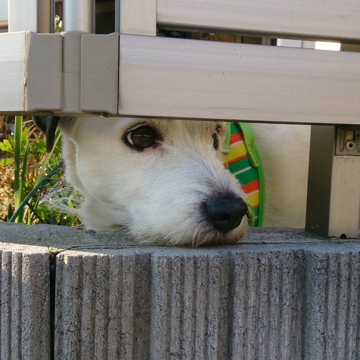 Aeebb86d 5358 433b b0a4 6c3a9f7293c4